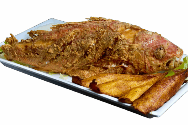 PARGO ROJO | RED SNAPPER