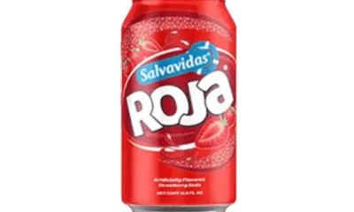 SALVAVIDAS